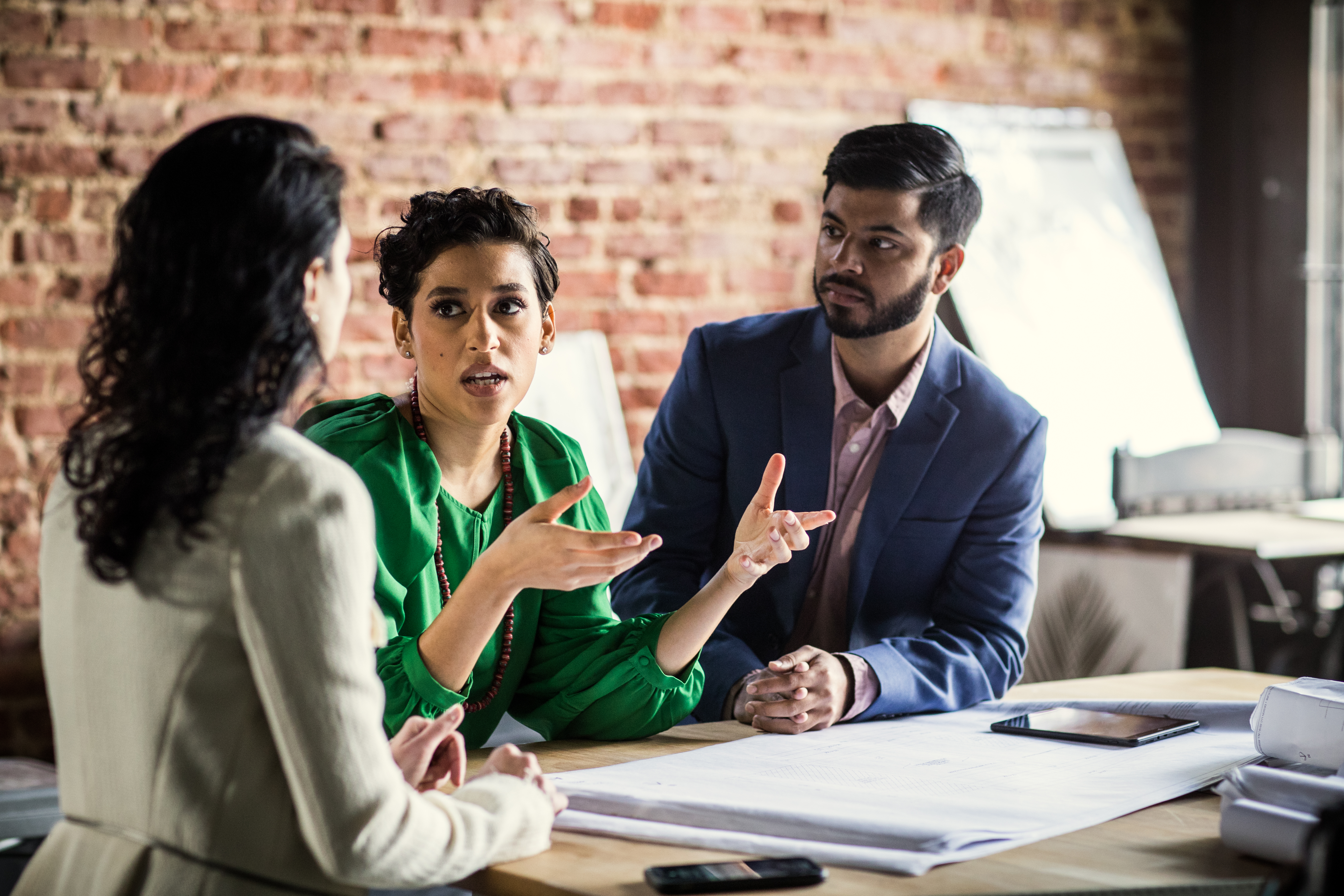 Professionals in a meeting