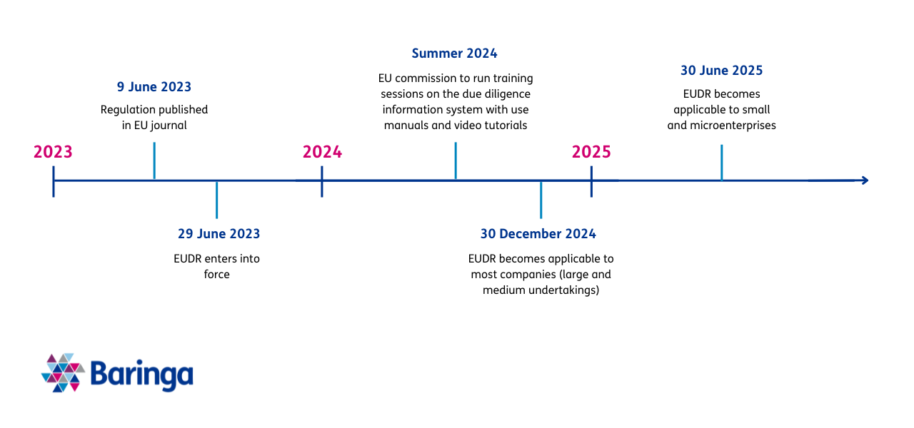 Development timeline of the regulation