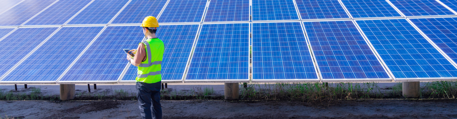 Worker inspecting a solar farm