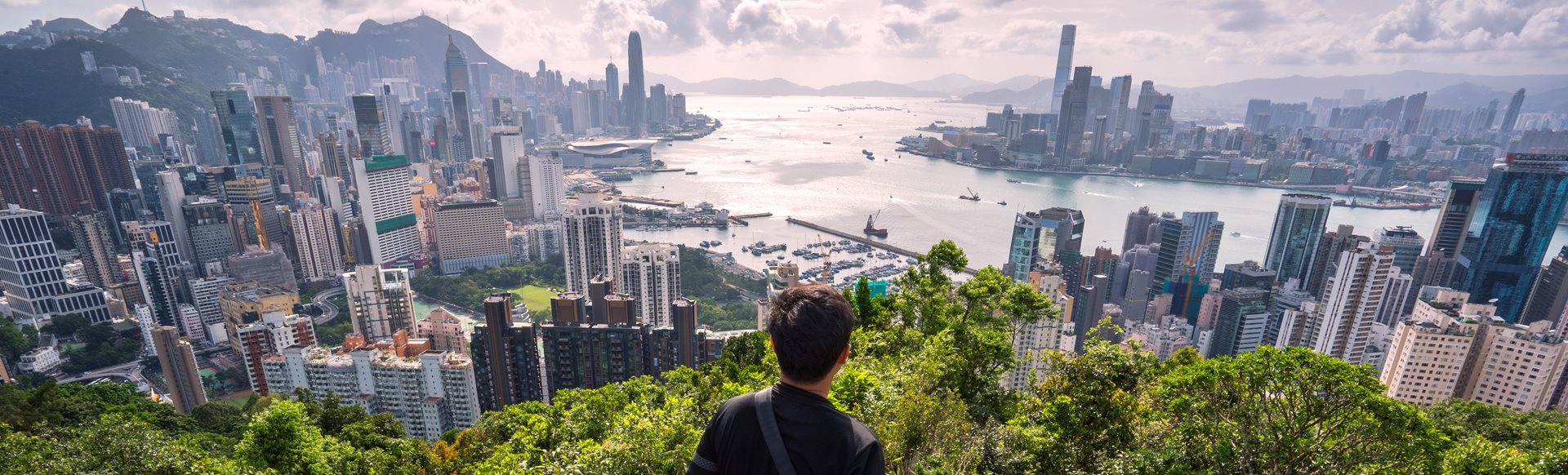 A figure looking out over Hong Kong harbour from above