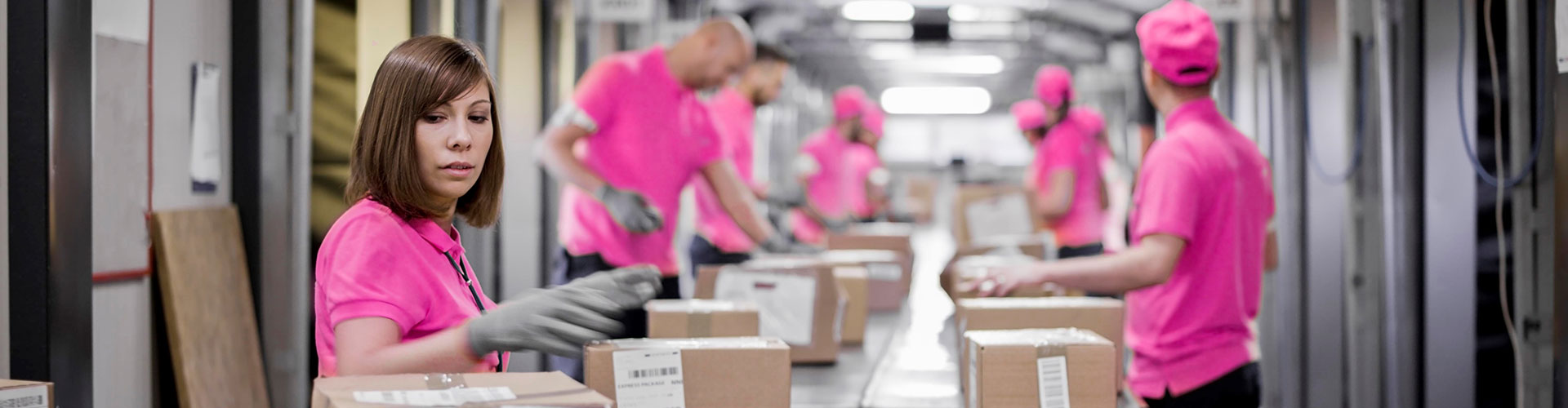 Workers in a logistics facility