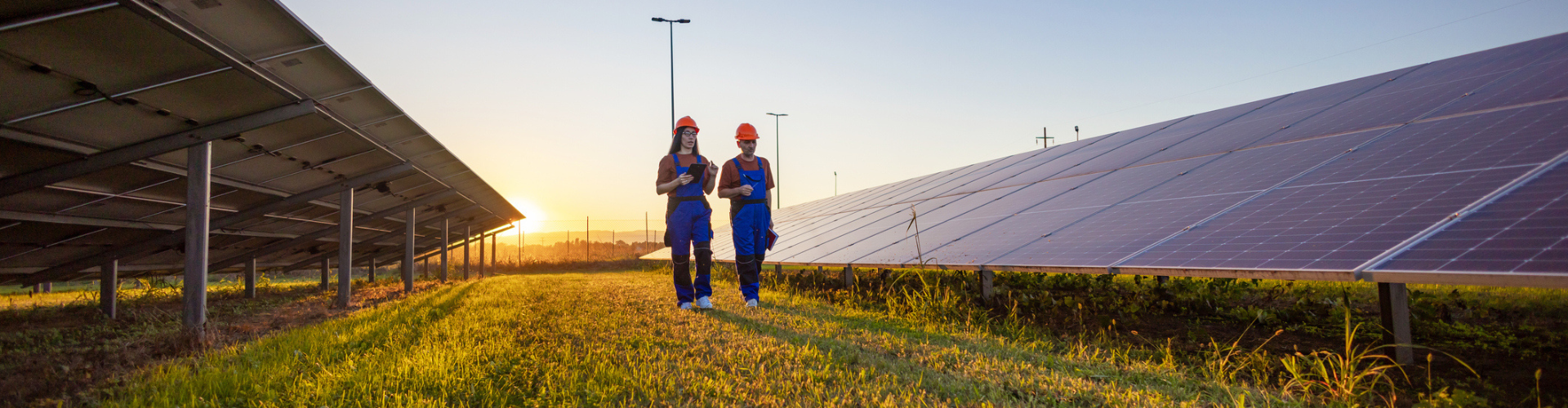People at a solar farm
