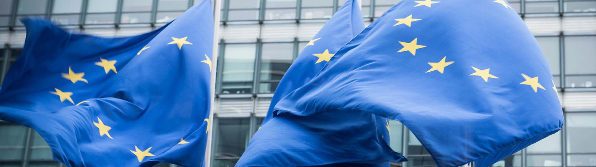 European Union flags flying in front of a building