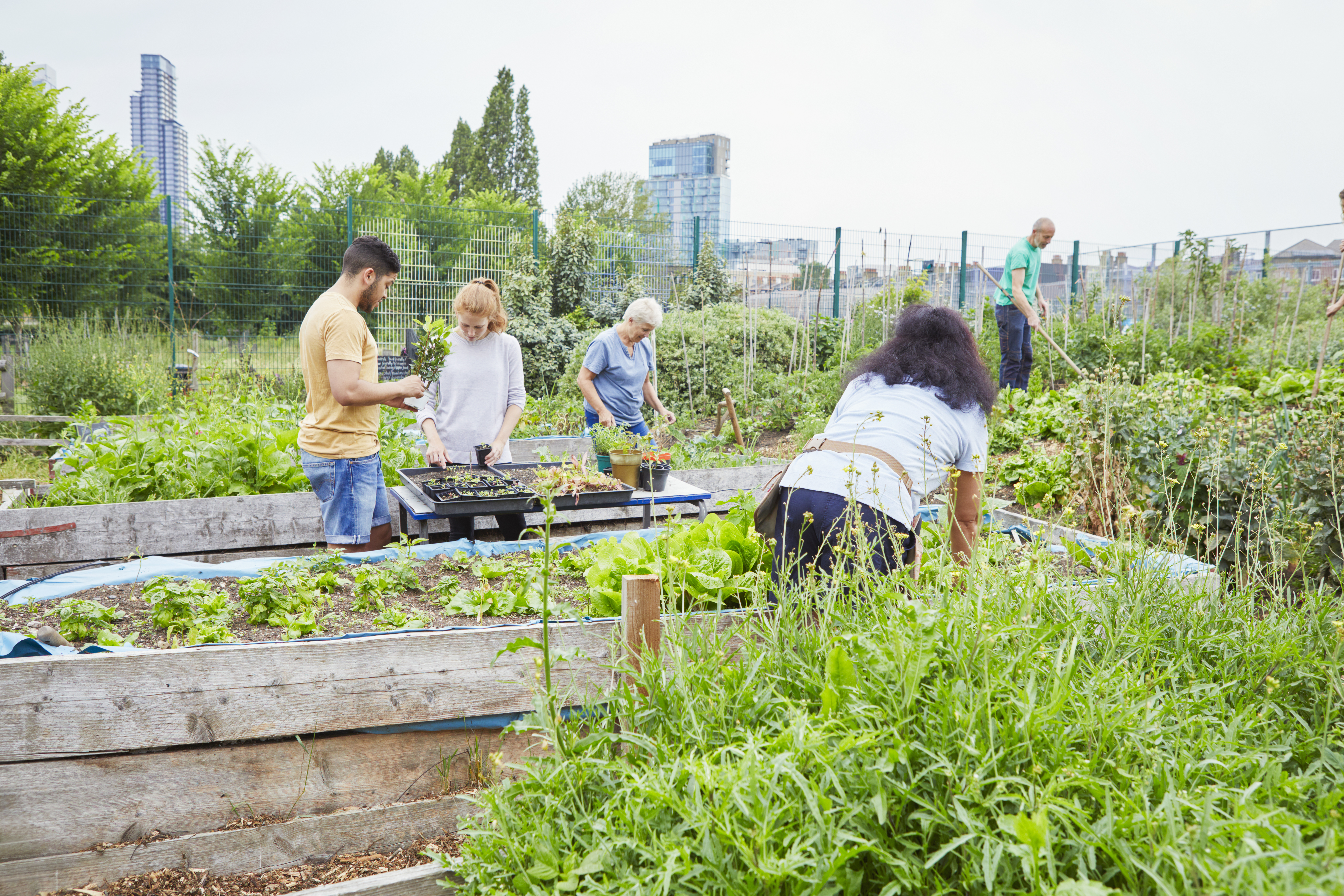 People helping out others on a community allotment