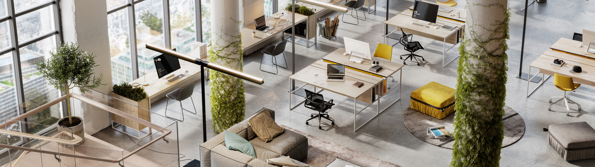 An light open plan office area with plants