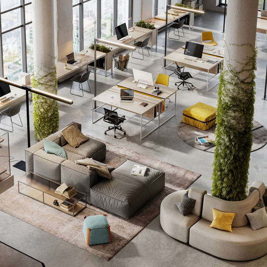 An light open plan office area with plants