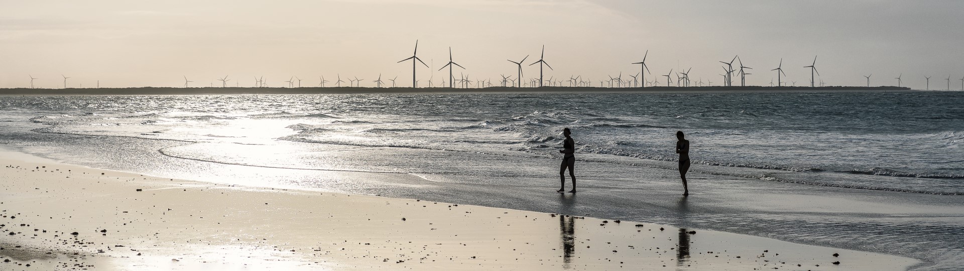 Two people walking on a beach with a windfarm in the distance