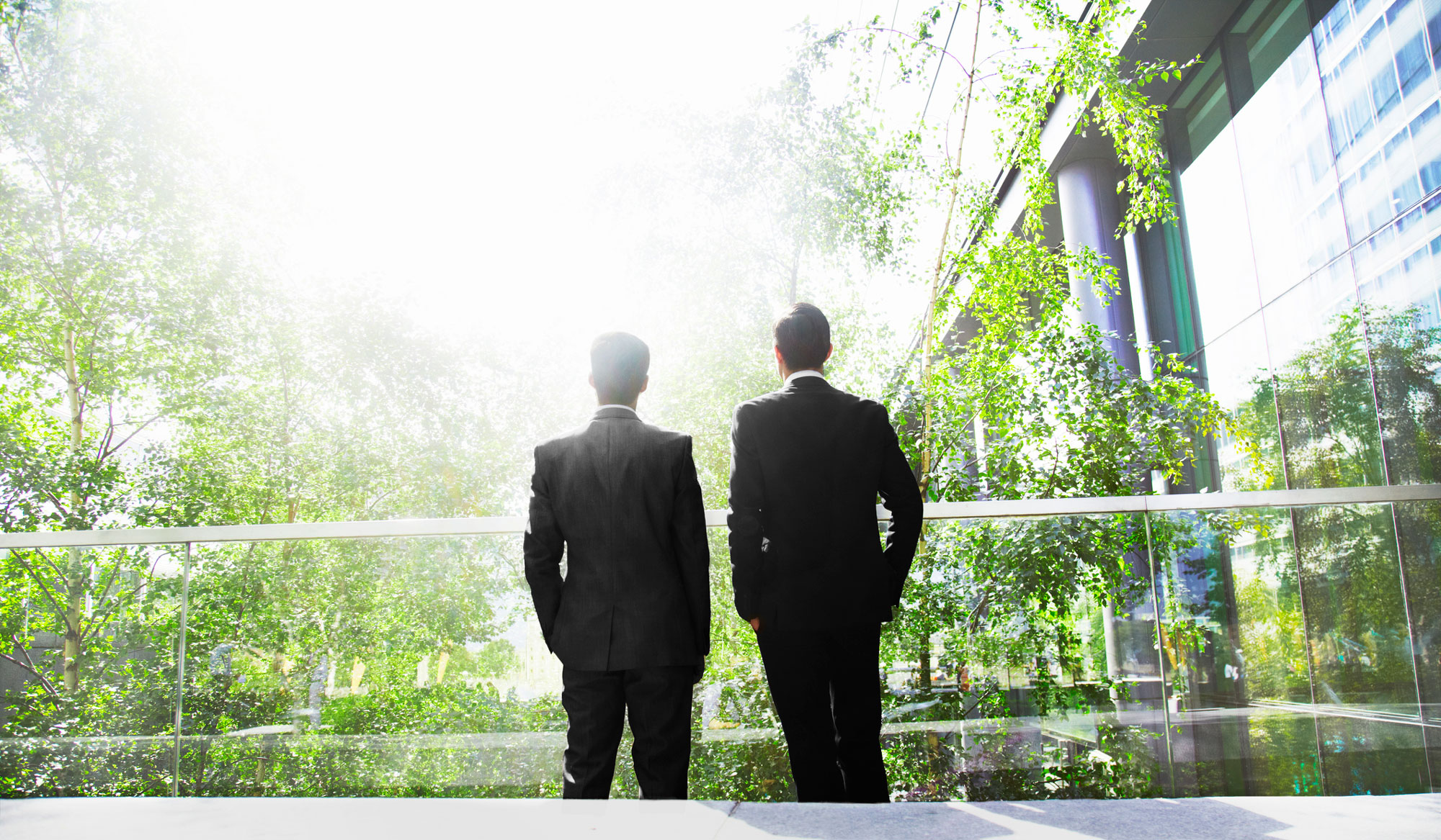 Two businessmen looking at a garden
