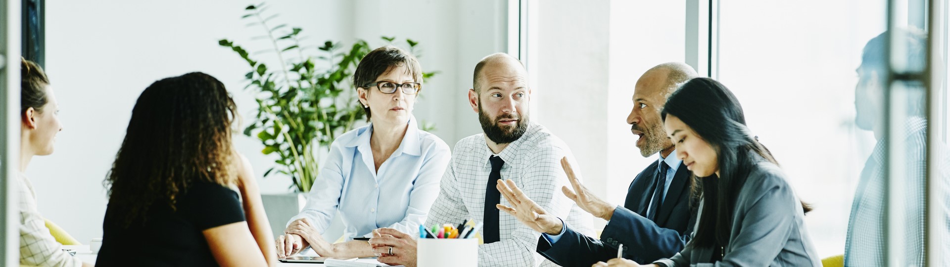 An office meeting with plant in the background