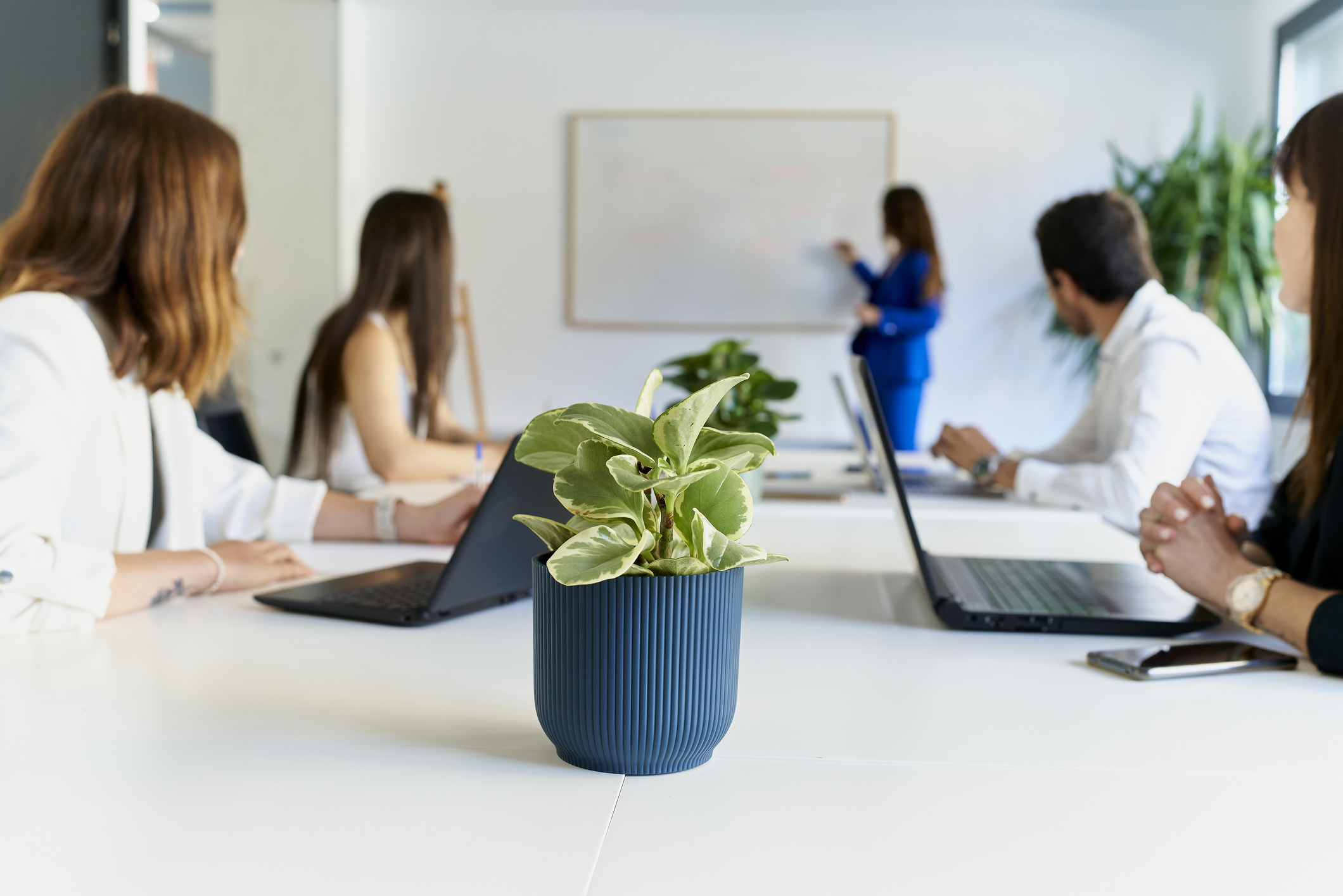 People in a meeting with a plant pot in the foreground