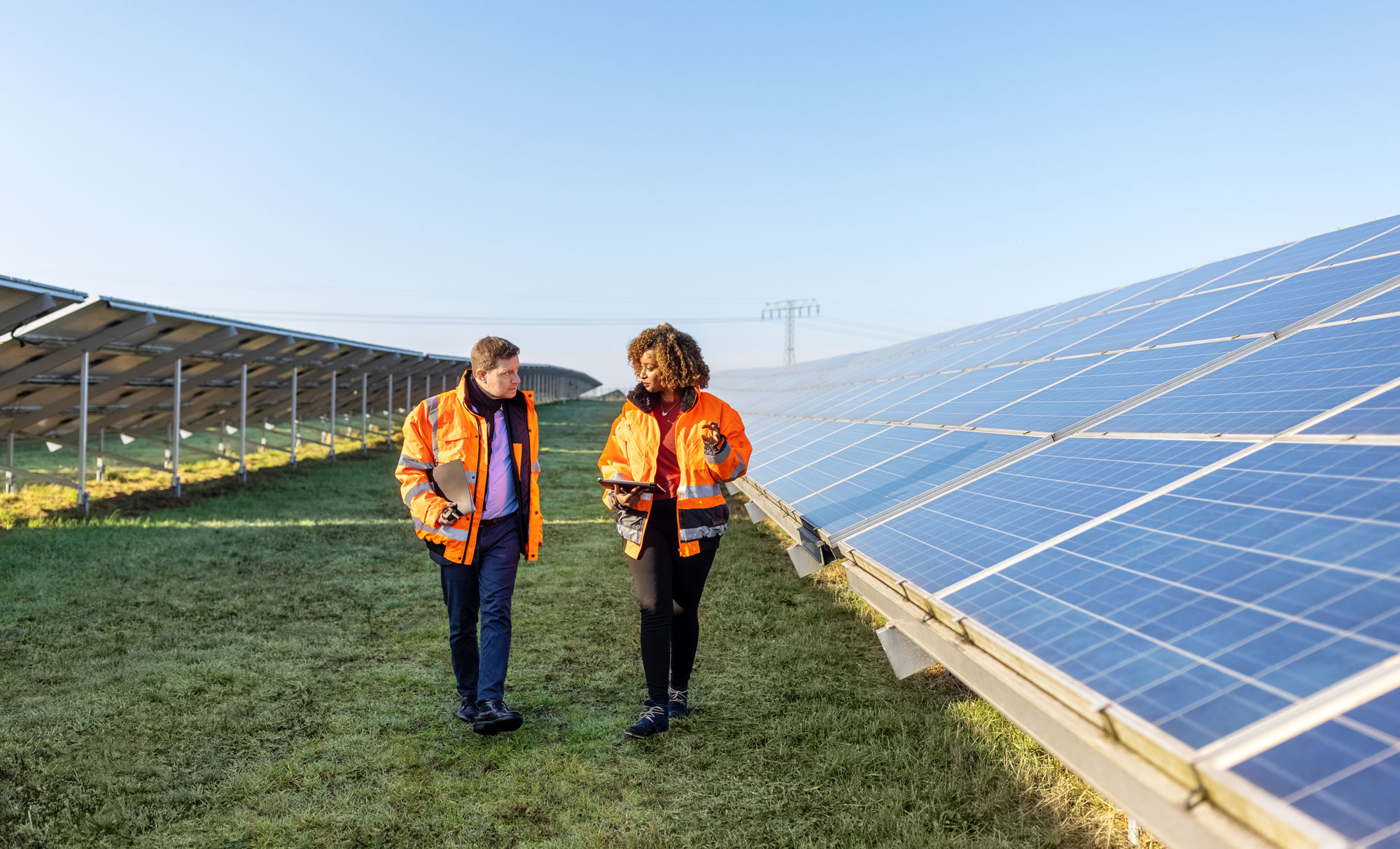 Two workers walking between rows of solar panels