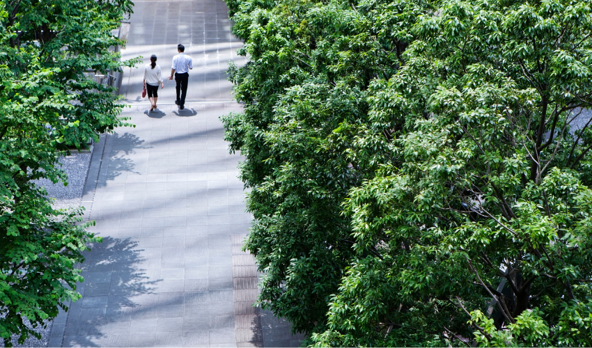 Two people walking down tree lined street