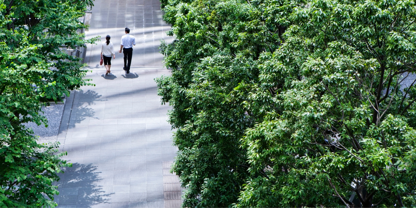 Two people walking down tree lined street