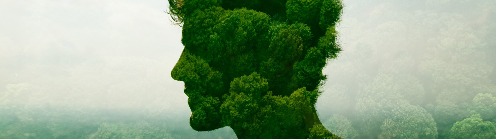 An outline of a human head superimposed over trees