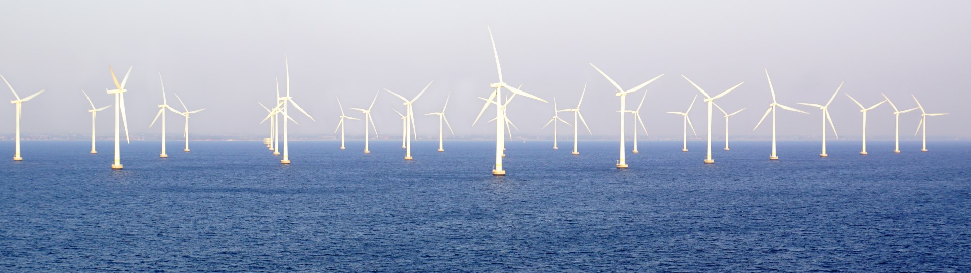 Wind farm in the middle of the sea
