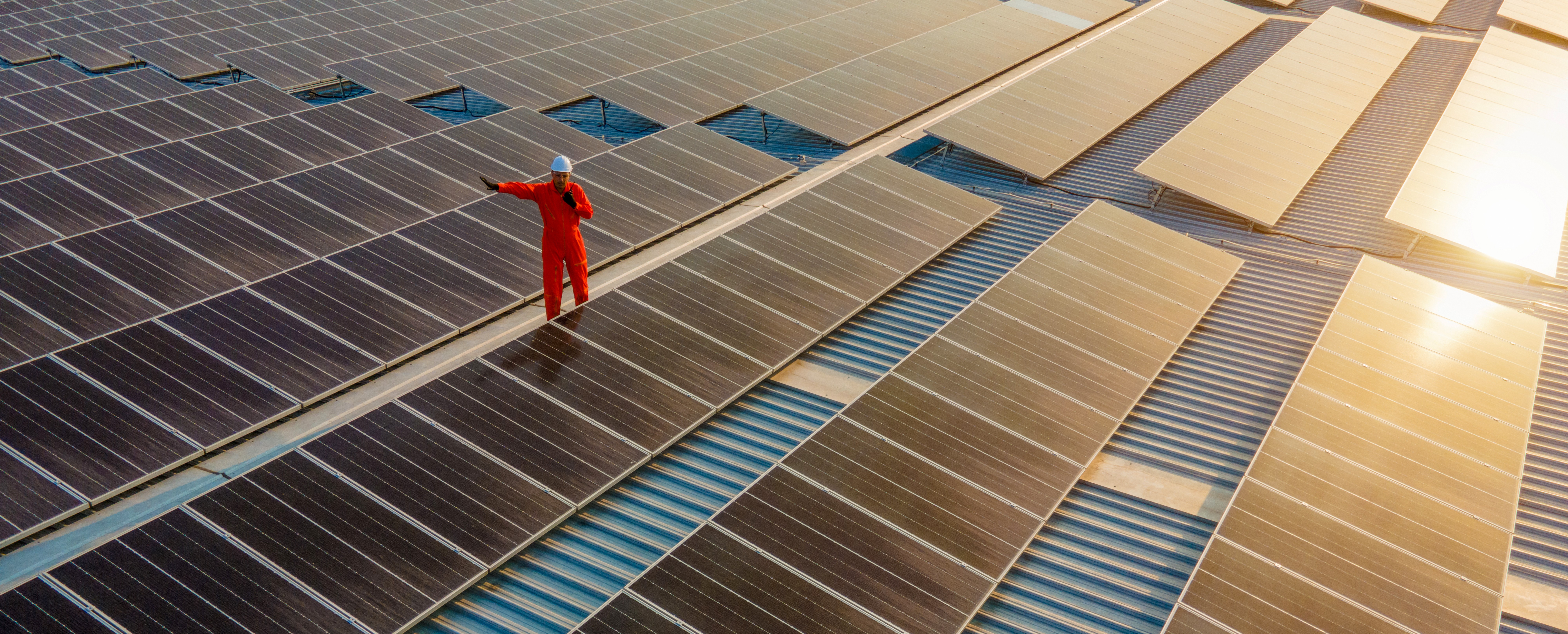 Engineer working in solar panel farm