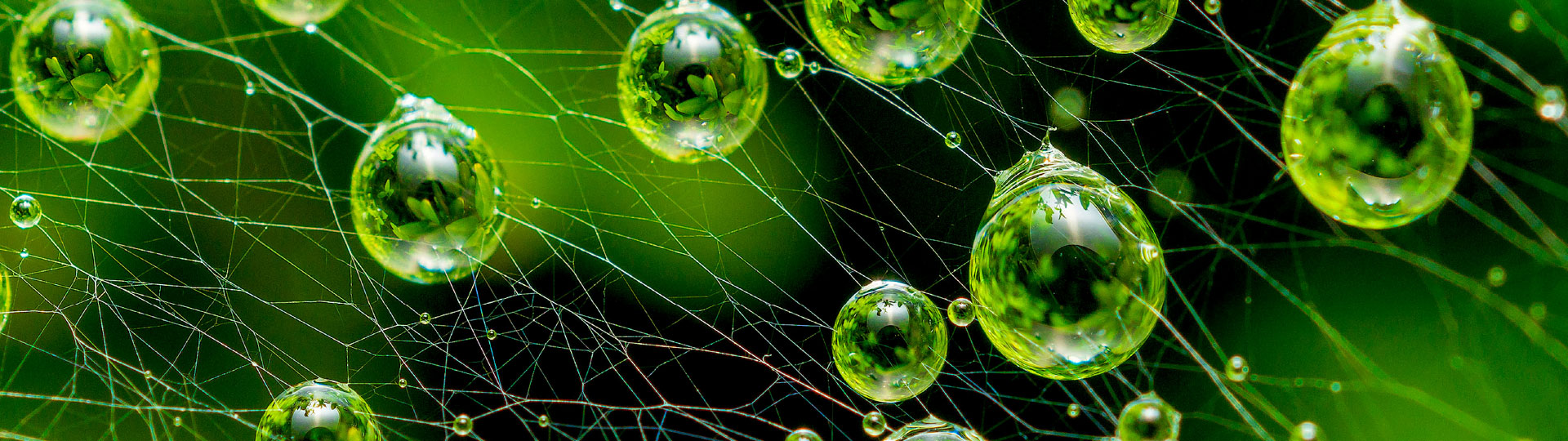 A close-up of green hydrogen particles