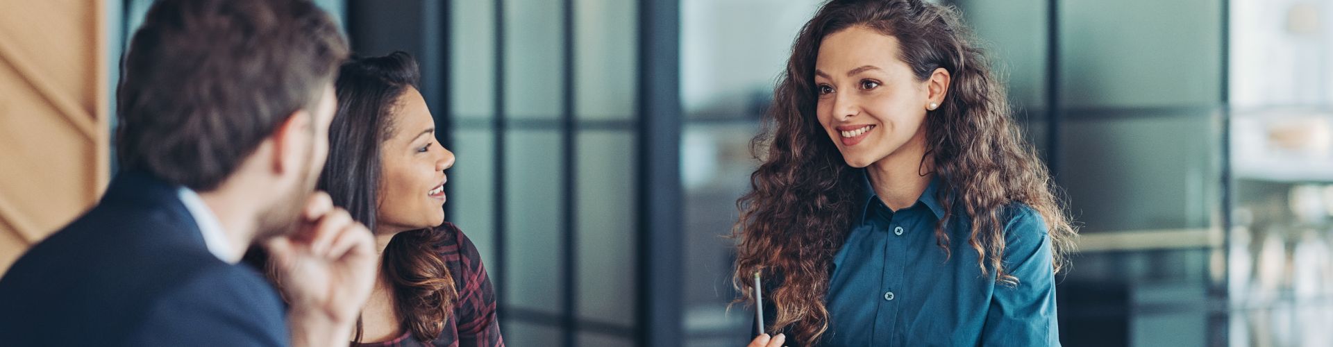 Group of colleague in a meeting