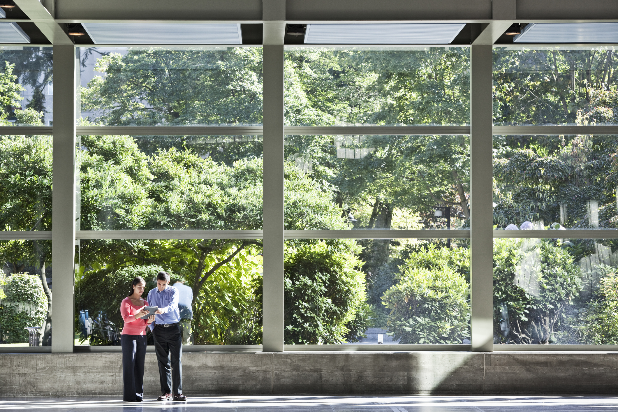 workers in office setting with plants outside