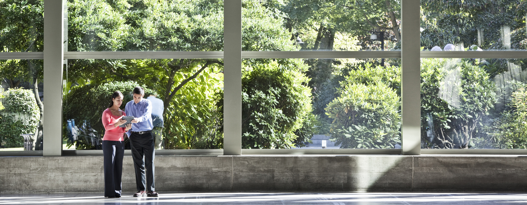 workers in office setting with plants outside