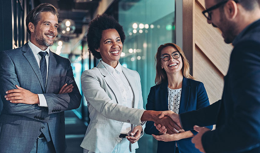 People in a business meeting