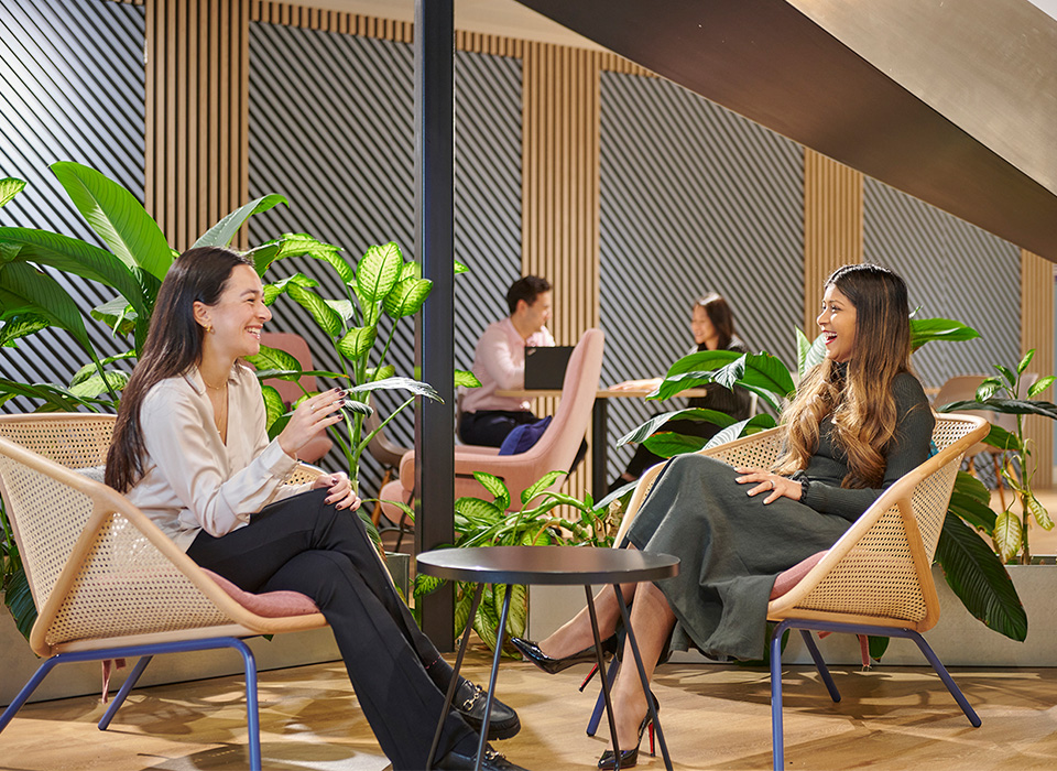 Two people having a lively discussion in a relaxed setting with plants